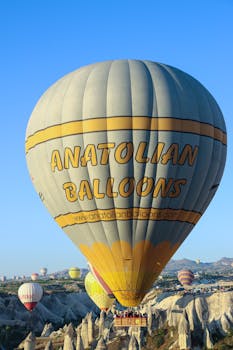 pexels photo 27739913