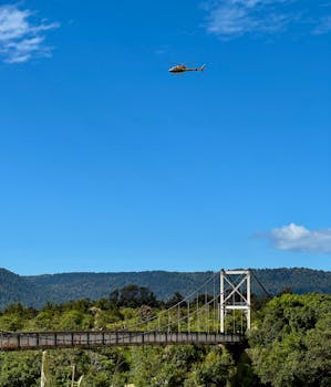 pexels photo 35199924