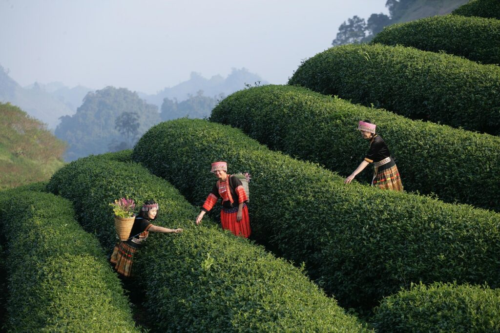 g5b413e440bba117522c7a34a59917a7b229eeeea526791160e31a4af0f5cccaa5ae5b29b3d64b2db36d361cb0e4371d3bbfe4cc978e4bdf7ee9898132e95b67b 1280