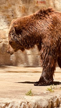 pexels photo 24924149