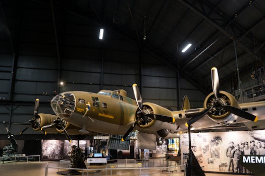 Giới thiệu pexels photo 31948757