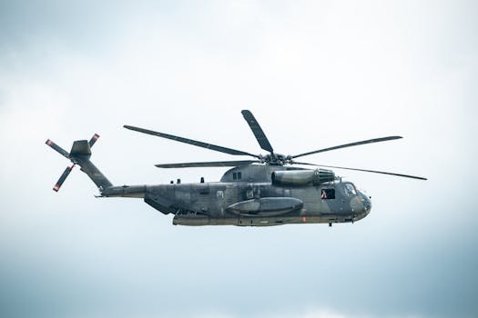 pexels photo 33203069