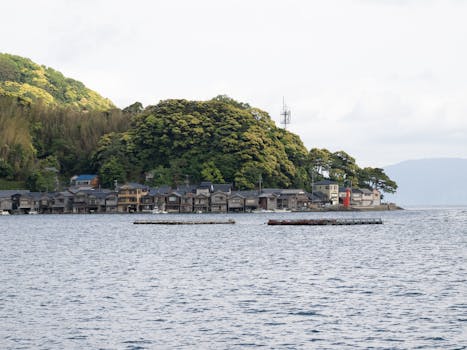 **Trực thăng chơi bằng tay cho bé – Học bay thẳng từ ngày đầu tiên** pexels photo 28232328