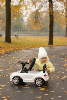 pexels photo 32325669